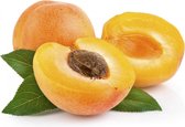 Abrikozen olie - Apricot oil - Huidolie - Aromatherapy - Aromatherapie - 150 ml Mamado