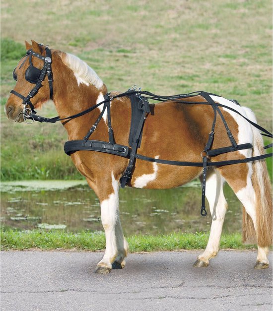 Covalliero Kerbl 320131 enkelhoofdbeenkappen synthetisch rubber, pony, set van 4, zwart