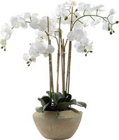 Witte kunstmatige orchidee samenstelling H86