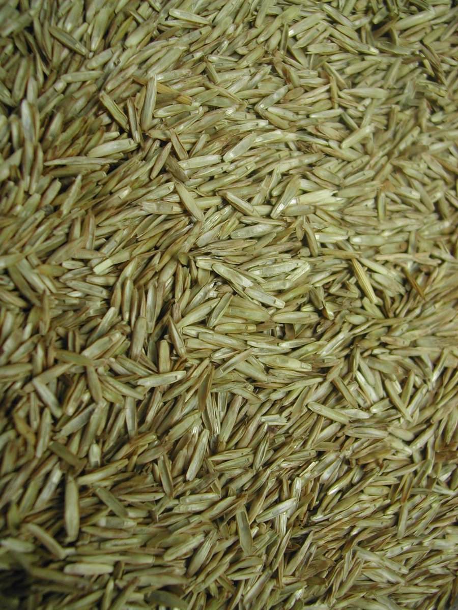 Vogelvoer- Binnenvogels- Vinken- Graszaad- Graszaad fijn-medium- 2 kilo