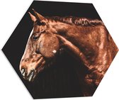 WallClassics - PVC Schuimplaat Hexagon - Zijaanzicht van Bruin Paard - 70x60.9 cm Foto op Hexagon (Met Ophangsysteem)