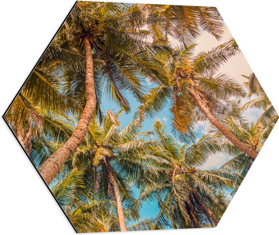 Dibond Hexagon - Dicht bij Elkaar Groeiende Palmbomen van Onder - 60x52.2 cm Foto op Hexagon (Met Ophangsysteem)