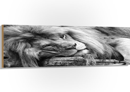 WallClassics - Hout - Liggende Leeuw in het Zwart Wit - 150x50 cm - 9 mm dik - Foto op Hout (Met Ophangsysteem)