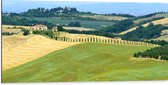 Dibond - Heuvelachtig Zomers Landschap met Traditionele0 Gebouwen - 100x50 cm Foto op Aluminium (Wanddecoratie van metaal)