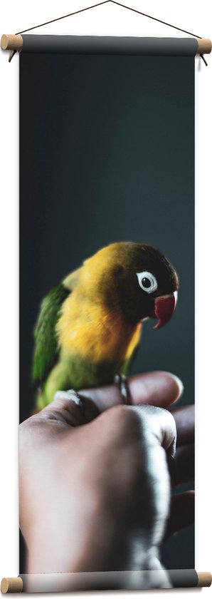 WallClassics - Textielposter - Vogel op Hand - Zwartmaskeragapornis - 30x90 cm Foto op Textiel