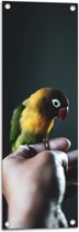 WallClassics - Tuinposter – Vogel op Hand - Zwartmaskeragapornis - 30x90 cm Foto op Tuinposter (wanddecoratie voor buiten en binnen)