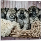 WallClassics - Tuinposter – Schattige Puppy's in Mand met zacht Dekentje - Eurasiër - 80x80 cm Foto op Tuinposter (wanddecoratie voor buiten en binnen)