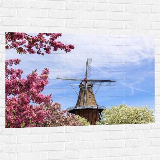 Muursticker - Bloesembomen voor Traditione Molen in Nederland - 120x80 cm Foto op Muursticker