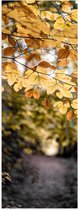 Poster Glanzend – Gele Bladeren aan Boom bij Bospad - 20x60 cm Foto op Posterpapier met Glanzende Afwerking