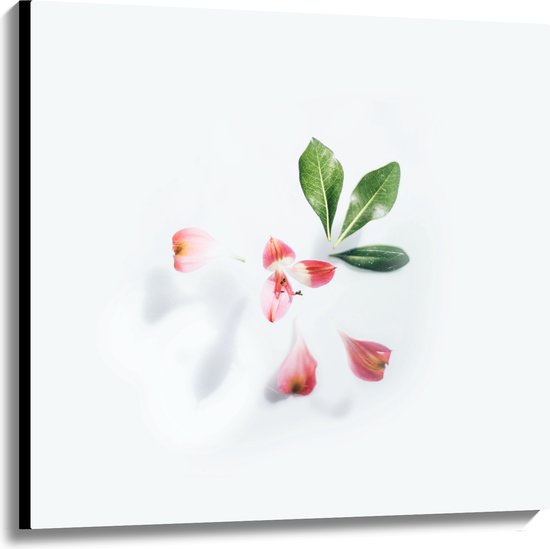Canvas - Groene Plantjes bij Bloemblaadjes - 100x100 cm Foto op Canvas Schilderij (Wanddecoratie op Canvas)