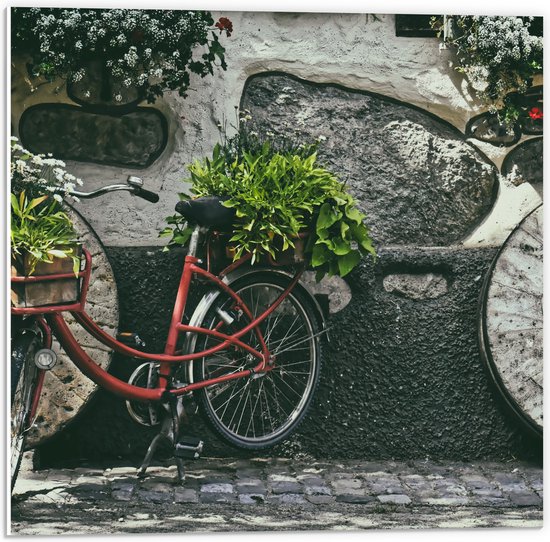 WallClassics - Plaque de Mousse PVC - Vélo Rouge décoré de Plantes contre Mur de Pierre - Photo 50x50 cm sur Plaque de Mousse PVC