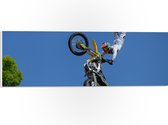 WallClassics - PVC Schuimplaat - Freestyle Motocross boven Boom - 60x20 cm Foto op PVC Schuimplaat (Met Ophangsysteem)