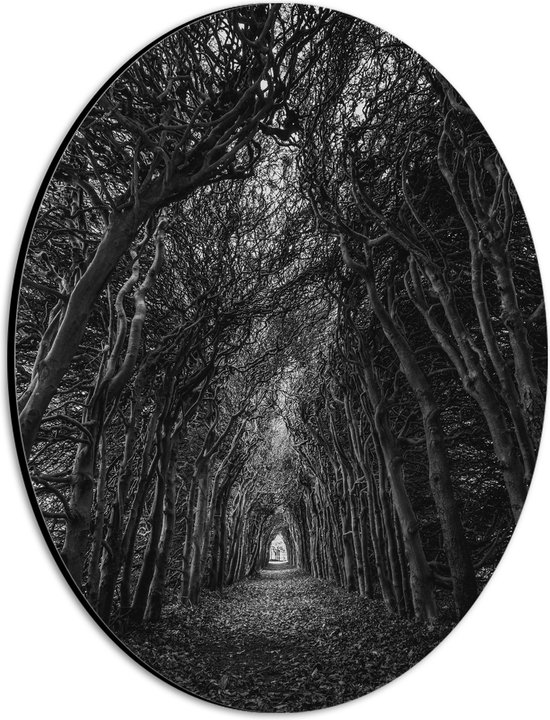 Dibond Ovaal - Tunnel van Kale Dichtbegroeide Bomen (Zwart- wit) - 21x28 cm Foto op Ovaal (Met Ophangsysteem)