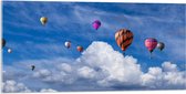 WallClassics - Acrylglas - Groepje Gekleurde Luchtballonnen bij Wolken in Blauwe Lucht - 100x50 cm Foto op Acrylglas (Wanddecoratie op Acrylaat)