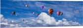 WallClassics - Acrylglas - Groepje Gekleurde Luchtballonnen bij Wolken in Blauwe Lucht - 150x50 cm Foto op Acrylglas (Wanddecoratie op Acrylaat)