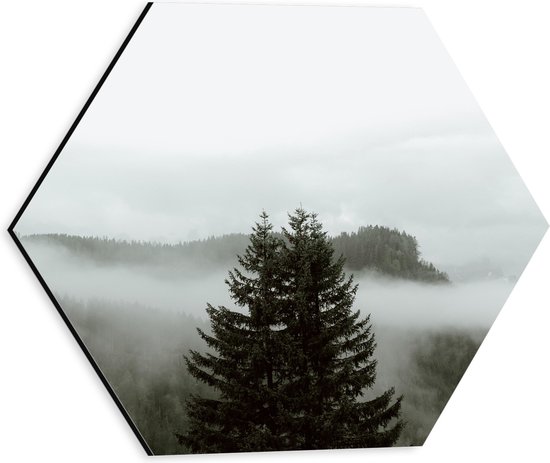 Dibond Hexagon - Grote Groene Boom in Mist tussen Bossen - 30x26.1 cm Foto op Hexagon (Met Ophangsysteem)