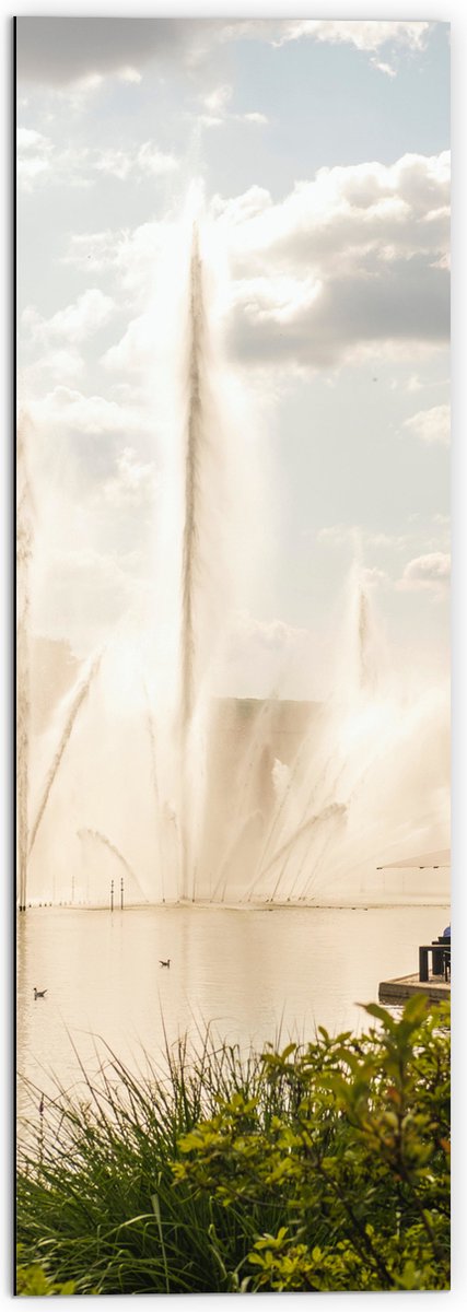 Dibond - Waterfontein in een Meer - 50x150 cm Foto op Aluminium (Wanddecoratie van metaal)