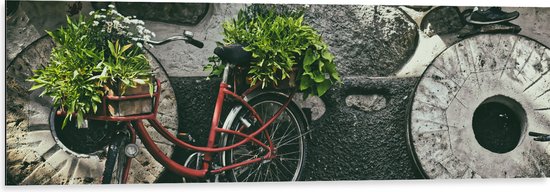 WallClassics - Dibond - Rode Fiets versierd met Planten tegen Stenen Muur - 120x40 cm Foto op Aluminium (Wanddecoratie van metaal)