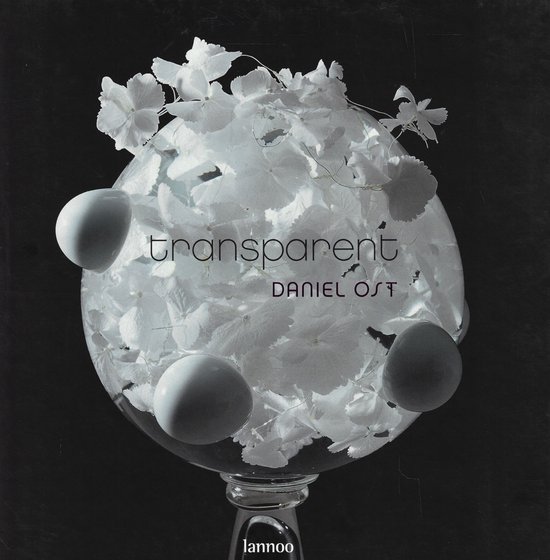 Cover van het boek 'Transparent' van Jean-Pierre Gabriel en D. Ost