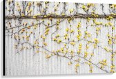 WallClassics - Canvas - Gele Bloemen aan de Muur - 120x80 cm Foto op Canvas Schilderij (Wanddecoratie op Canvas)