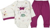 kleding set - baby kleding set - meisje set - maat 62/68 - paars - purple - bunny - broek - muts - rompers