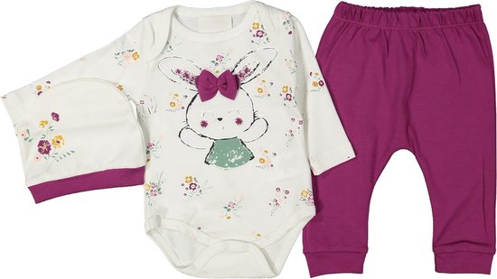 kleding set - baby kleding set - meisje set - maat 62/68 - paars - purple - bunny - broek - muts - rompers