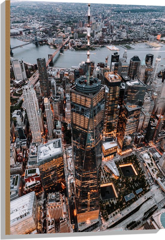 WallClassics - Hout - De Stad vanuit de Lucht - New York - 60x90 cm - 9 mm dik - Foto op Hout (Met Ophangsysteem)