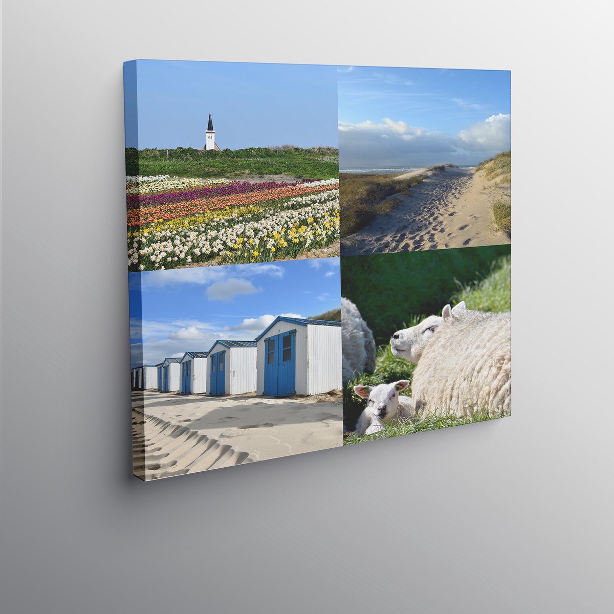 Texelphotos.nl - Foto afdruk op canvas - Texel Zomer - Duin - Strandhuisjes - Zee - Schaap - Lammetje - Canvas doek – Wanddecoratie - Foto collage – Natuur - Landschap - 60 x 60 cm.