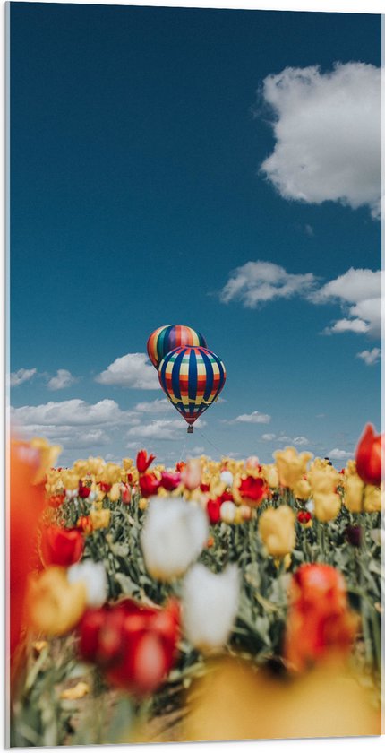 Acrylglas - Twee Luchtballonnen boven Meerkleurig Tulpenveld - 50x100 cm Foto op Acrylglas (Met Ophangsysteem)