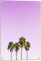 Tuinposter – Vier Hoge Smalle Palmbomen op Pastelroze Achtergrond - 50x75 cm Foto op Tuinposter (wanddecoratie voor buiten en binnen)