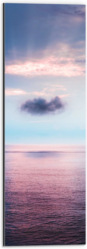 Dibond - Wolk Zwevend boven Kalme Zee - 20x60 cm Foto op Aluminium (Wanddecoratie van metaal)