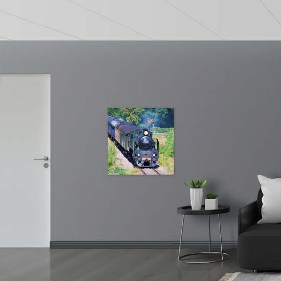 WallClassics - Poster Glossy – Train entre les Buissons - 80x80 cm Photo sur Papier Poster avec Finition Brillante