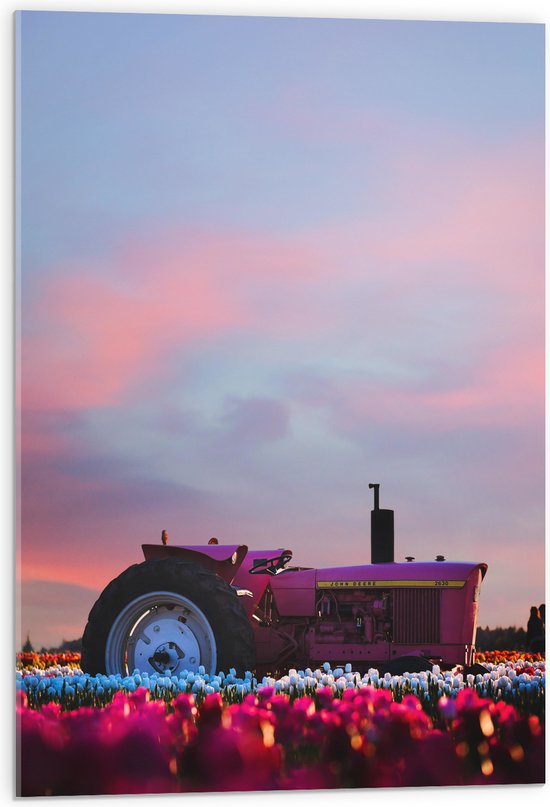 WallClassics - Acrylglas - Roze Tractor in een Bloemenveld - 50x75 cm Foto op Acrylglas (Wanddecoratie op Acrylaat)