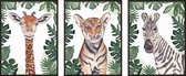 Kinderkamer Posters - Safari Dieren - 3 stuks - 30x40 cm - Jungle Set - Baby Giraffe, Tijger en Zebra - Kinderposter - Babykamer - Babyshower Cadeau - Wanddecoratie - Muurdecoratie