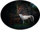 WallClassics - PVC Schuimplaat Ovaal - Witte Poolhof voor Zwart Hek - 40x30 cm Foto op Ovaal (Met Ophangsysteem)