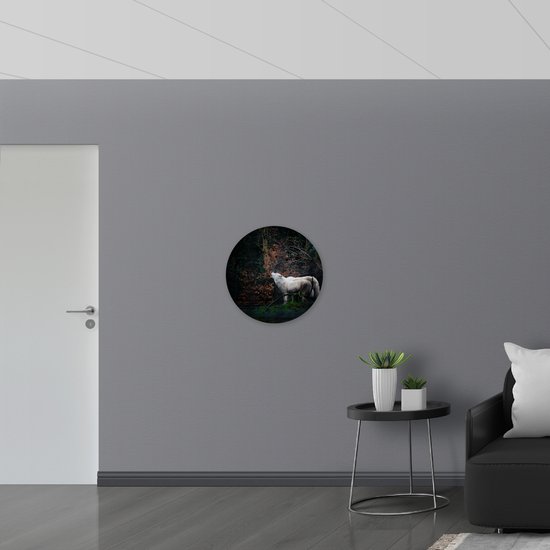 WallClassics - Cercle mural en mousse PVC - Terrain de piscine Witte pour clôture Zwart - Photo sur cercle mural 60x60 cm (avec système de fixation)