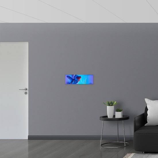 WallClassics - Poster Glossy - Poisson nageant dans Water - 60x20 cm Photo sur Papier Poster avec Finition Brillante