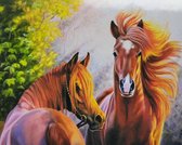 Diamond painting 40 x 50 CM canvas - 43.5 x 32.5 painting - 5D - Paarden