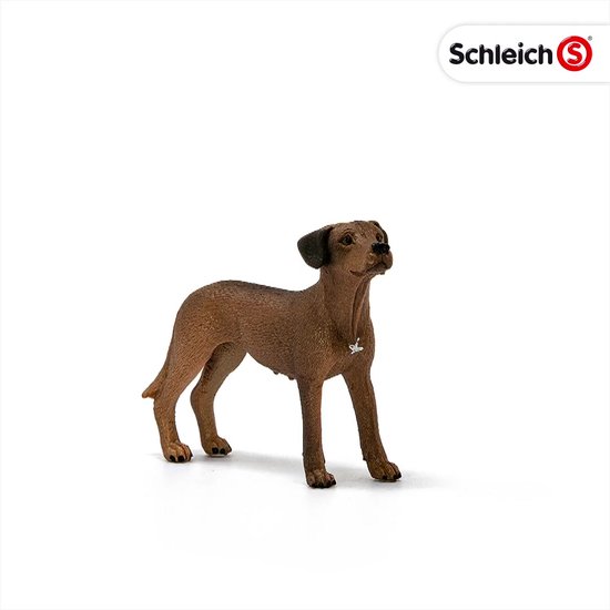 SCHLEICH Rhodesian Ridgeback Figur – 6,5x2x5,1 Cm, Realistisches Spielzeug Für Kinder Ab 3 Jahren