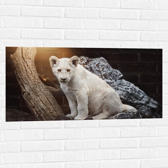 Muursticker - Zuid-Afrikaans Leeuwen Welpje op een Rots - 100x50 cm Foto op Muursticker