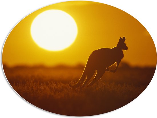 PVC Schuimplaat Ovaal - Zonsondergang Silhouet van een Kangoeroe - 80x60 cm Foto op Ovaal (Met Ophangsysteem)