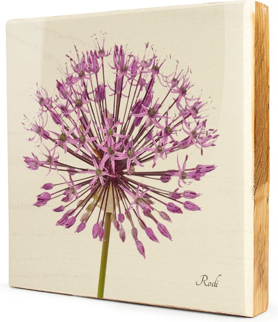 Allium - 1x1 Steigerhout Tegeltableau