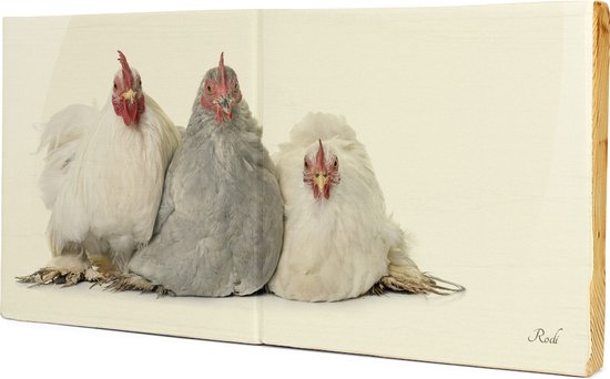 Chicken trio - 2x1 Steigerhout Tegeltableau