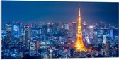 Acrylglas - Skyline in Tokio met Verlichte Tokiotoren - 100x50 cm Foto op Acrylglas (Wanddecoratie op Acrylaat)
