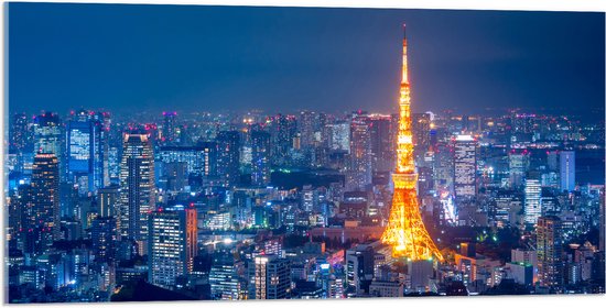 Acrylglas - Skyline in Tokio met Verlichte Tokiotoren - 100x50 cm Foto op Acrylglas (Wanddecoratie op Acrylaat)