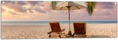 Tuinposter – Twee Ligbedden op het Strand met Palmboom - 120x40 cm Foto op Tuinposter (wanddecoratie voor buiten en binnen)