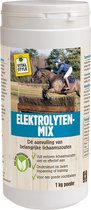 VITALstyle Elektrolyten Mix - Paarden Supplement - Dé Aanvulling Van Belangrijke Lichaamszouten - Poeder - 1 kg