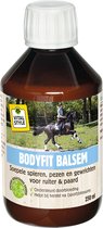 VITALstyle - BodyFit Balsem - Paarden Supplementen - 250 ml