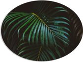 PVC Schuimplaat Ovaal - Groene Palmbladeren - 96x72 cm Foto op Ovaal (Met Ophangsysteem)