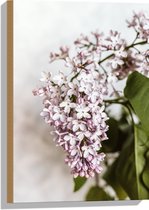 Hout - Kleine Roze met Witte Bloemen - 40x60 cm - 9 mm dik - Foto op Hout (Met Ophangsysteem)